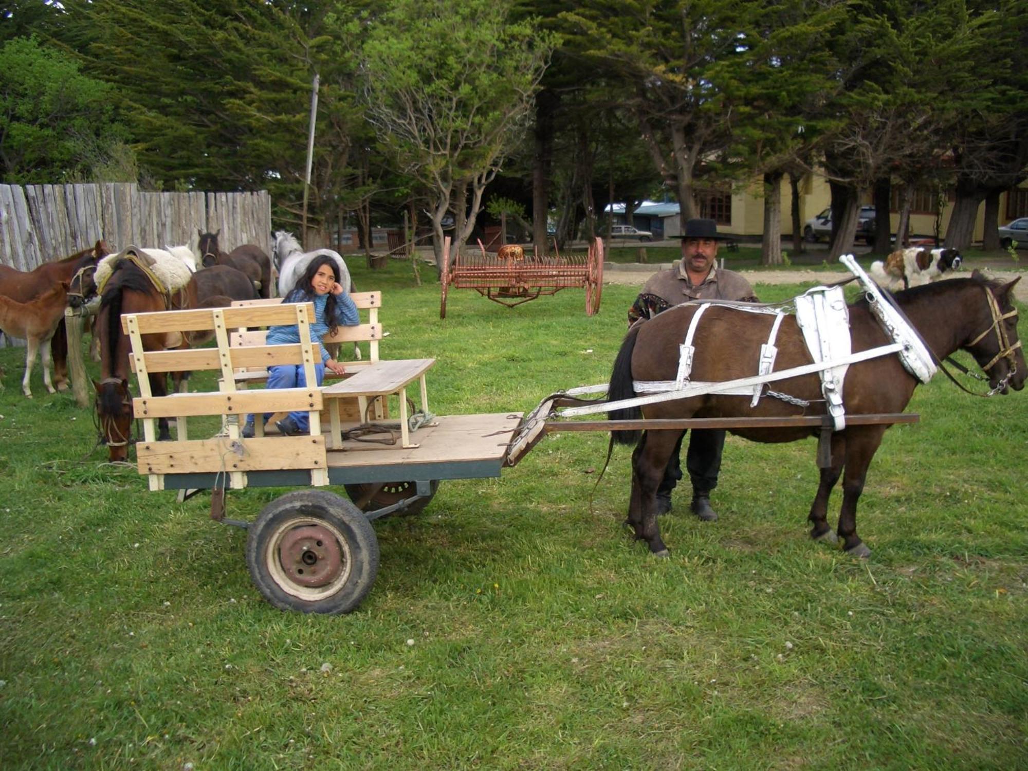 Estancia Rio De Los Ciervos Punta Arenas Exterior foto