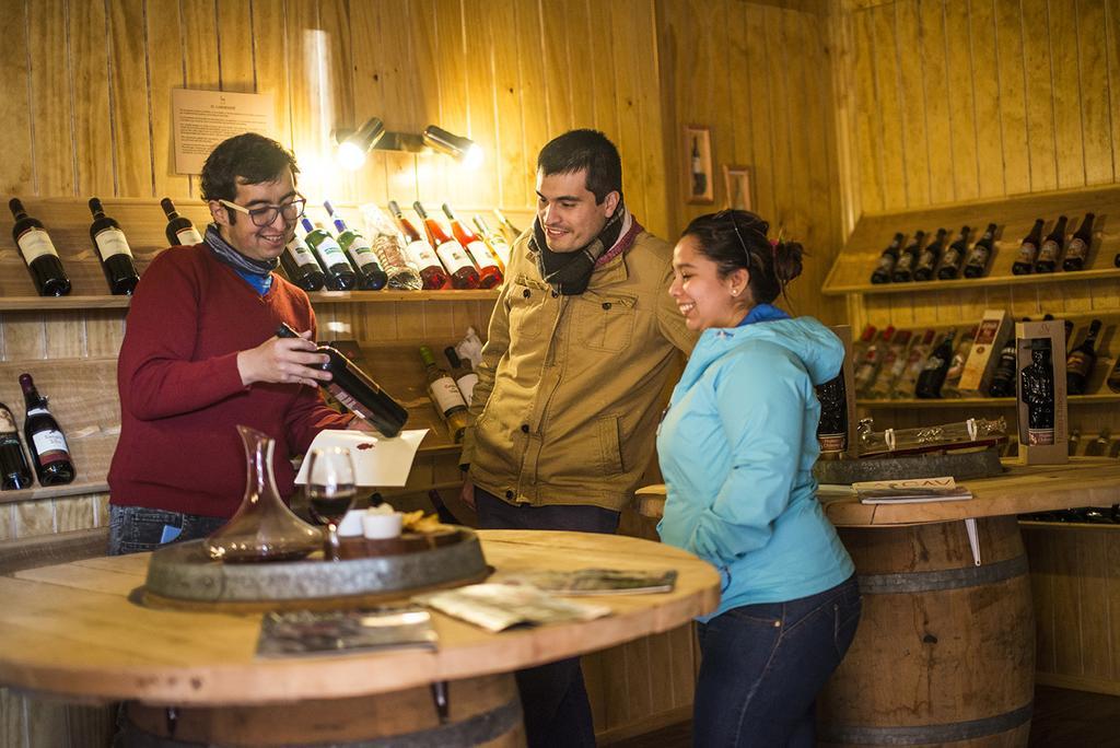 Estancia Rio De Los Ciervos Punta Arenas Exterior foto