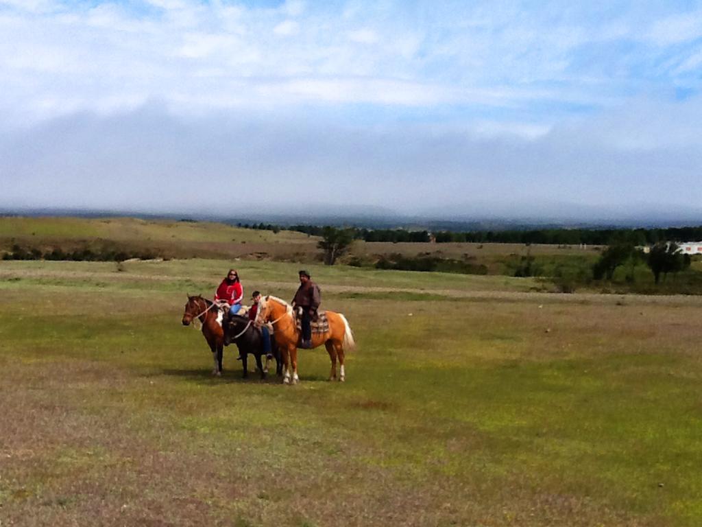 Estancia Rio De Los Ciervos Punta Arenas Exterior foto